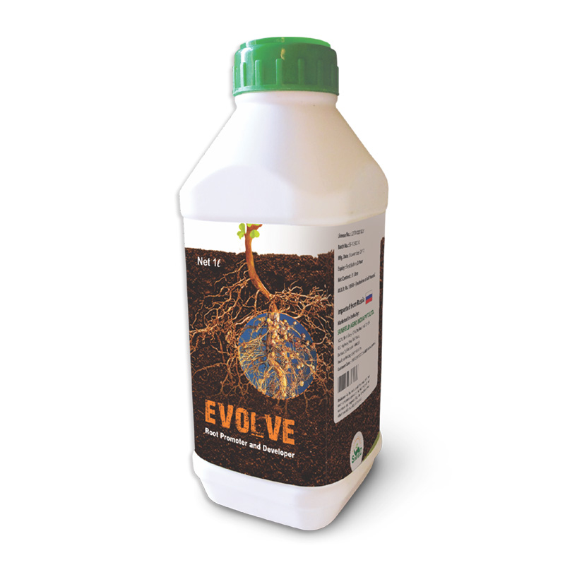 Evolve
