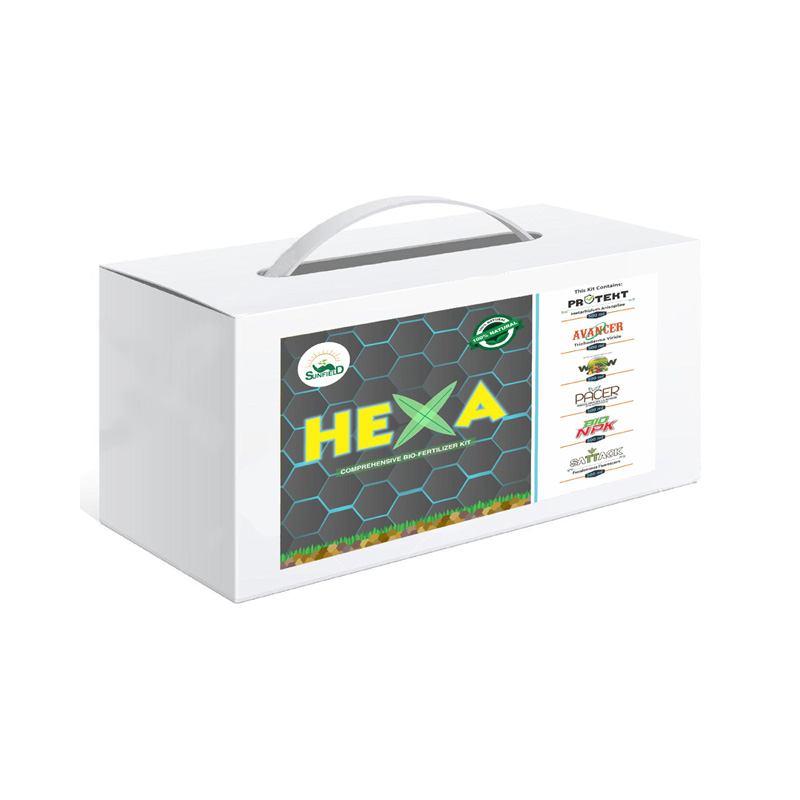 Hexa Kit