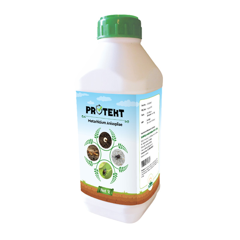 Protekt